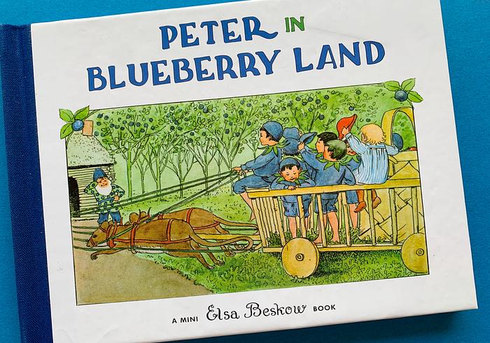 Peter in blueberry land