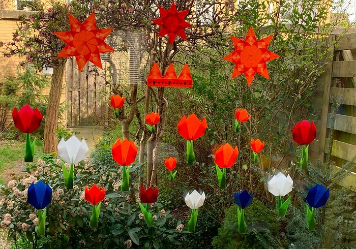 Sterren en bloemen