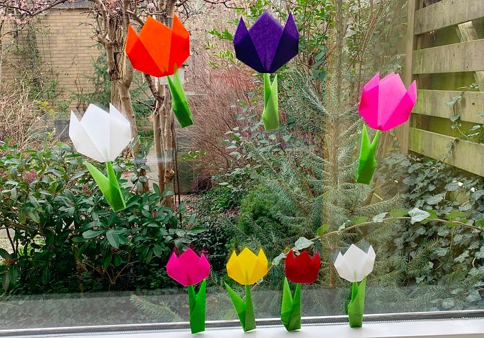 Zo vouw je tulpen
