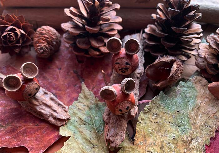 Het is herfst!