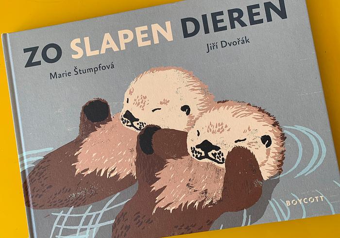 Zo slapen dieren