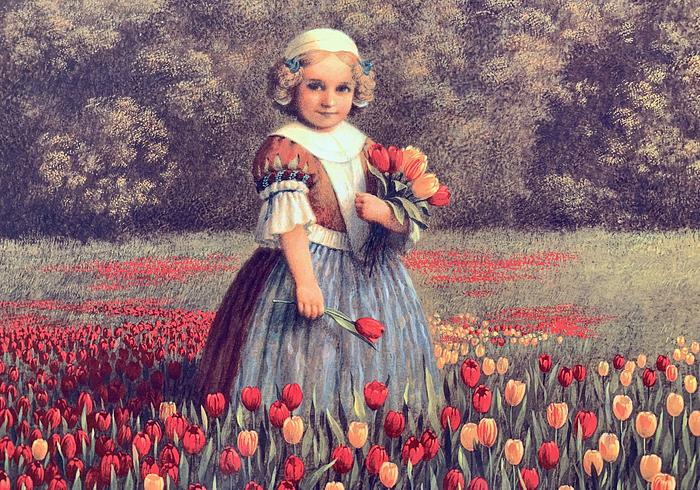 Hanna in de tijd van de tulpen