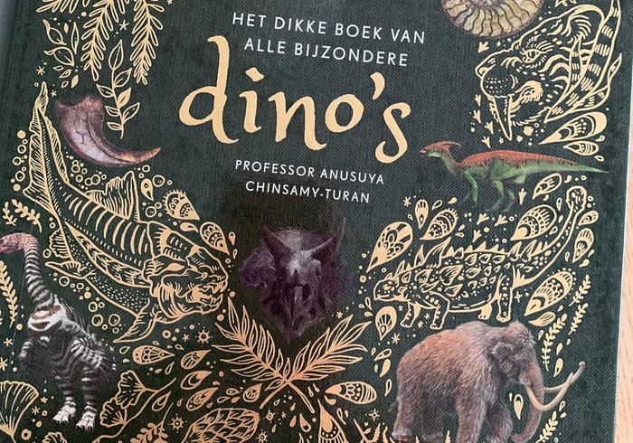 Het dikke boek 