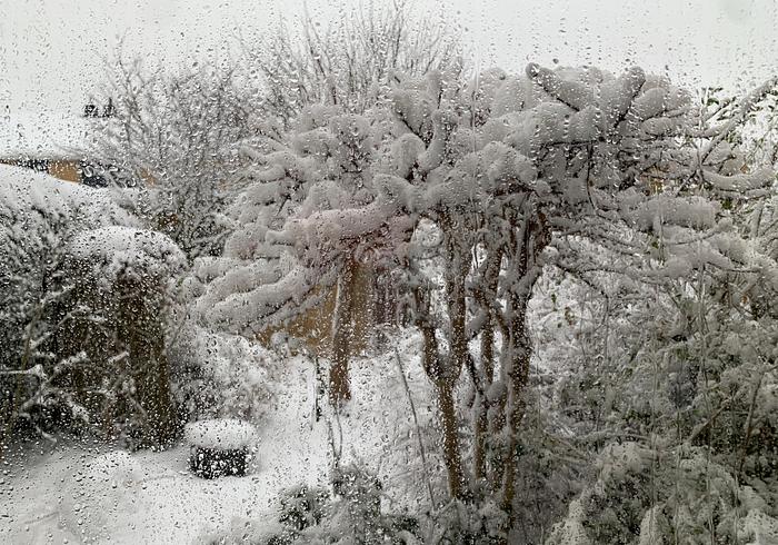 It's snowing!