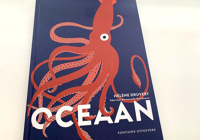 Oceaan
