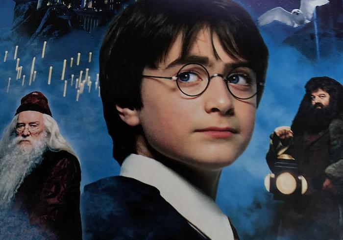 Harry Potter en de Steen der Wijzen
