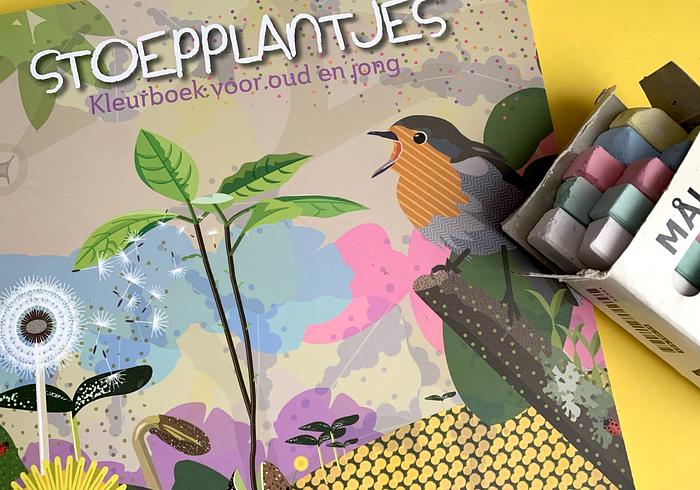 Stoepplantjes Xll