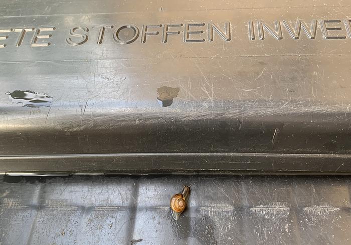 Stoepplantjes Xl