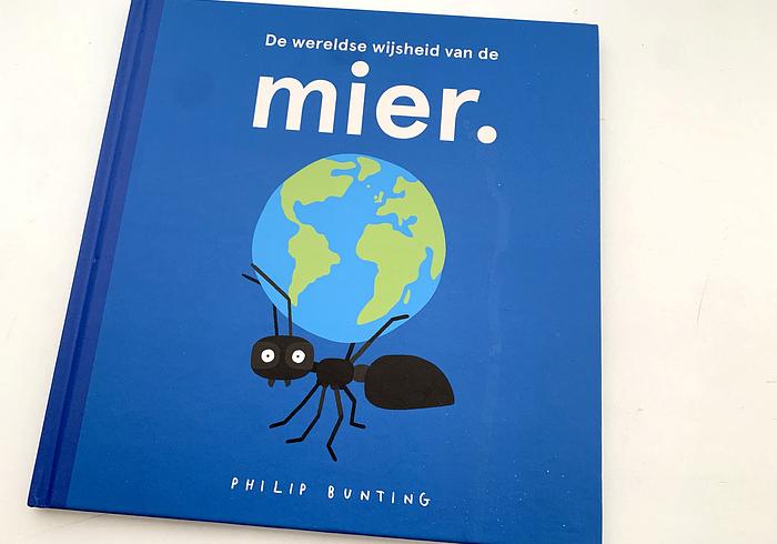 De wereldse wijsheid