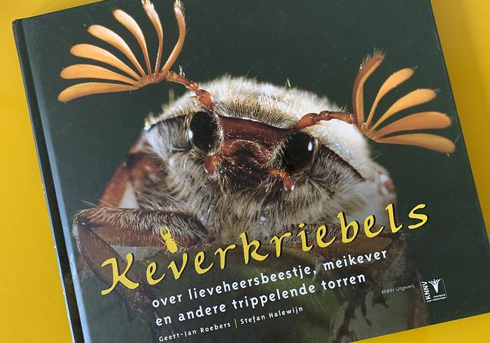 Keverkriebels