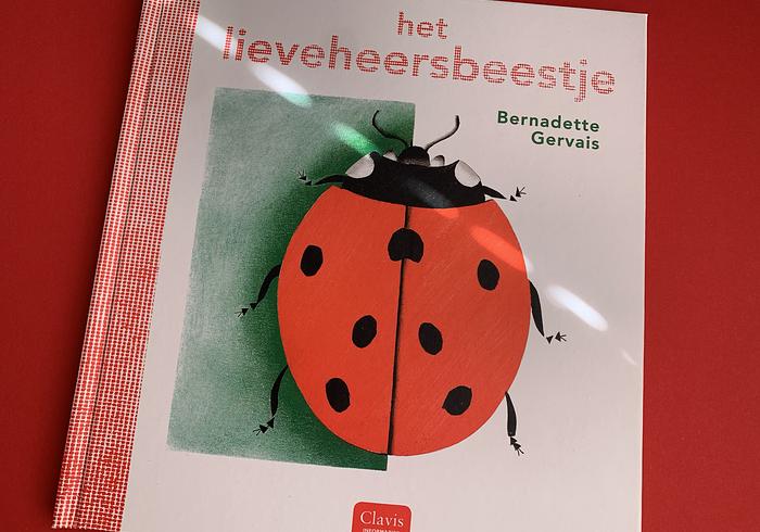 Het Lieveheersbeestje