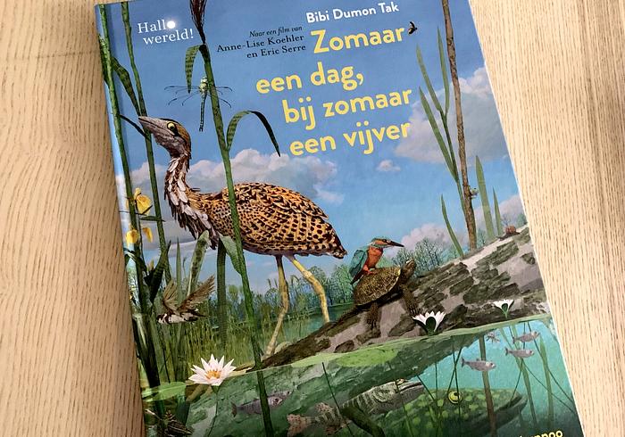 Zomaar een dag