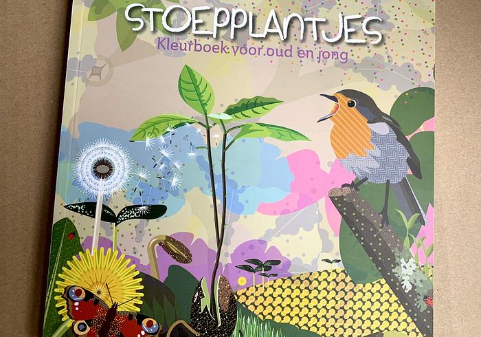Stoepplantjes 