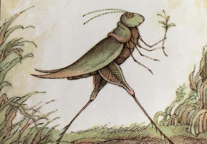 Grashopper on the road, an I can read book