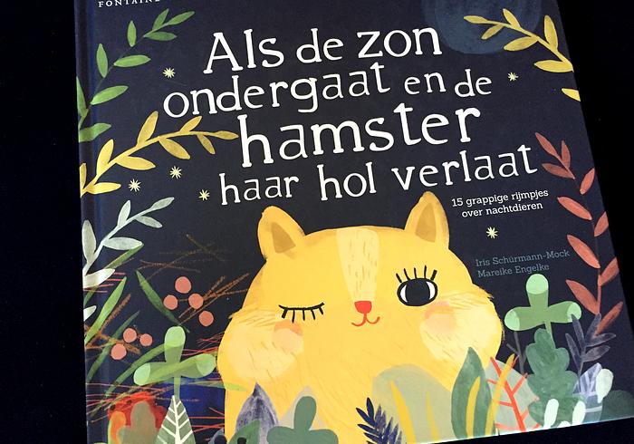 Als de zon ondergaat