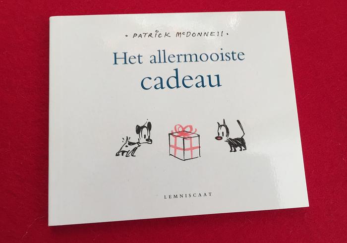 Het allermooiste cadeau
