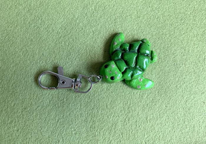 Deze zeeschildpadjes