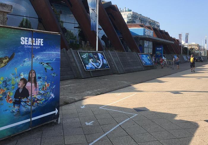 We gaan naar Sealife 