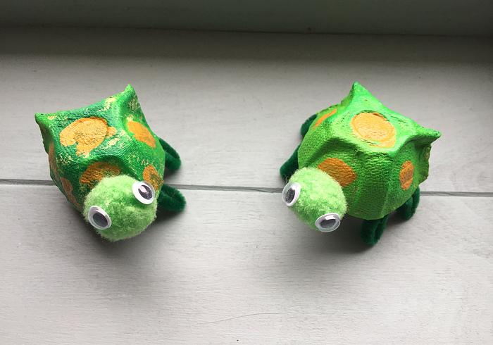 Schattige schildpadjes