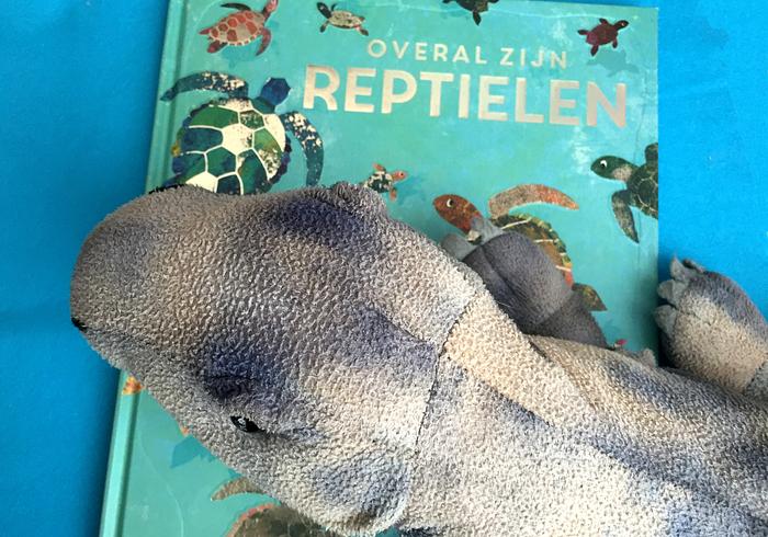 Overal zijn reptielen