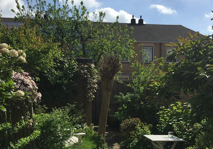 De juni tuin 
