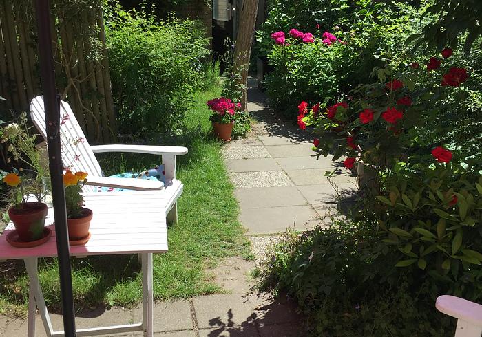 De tuin in juli