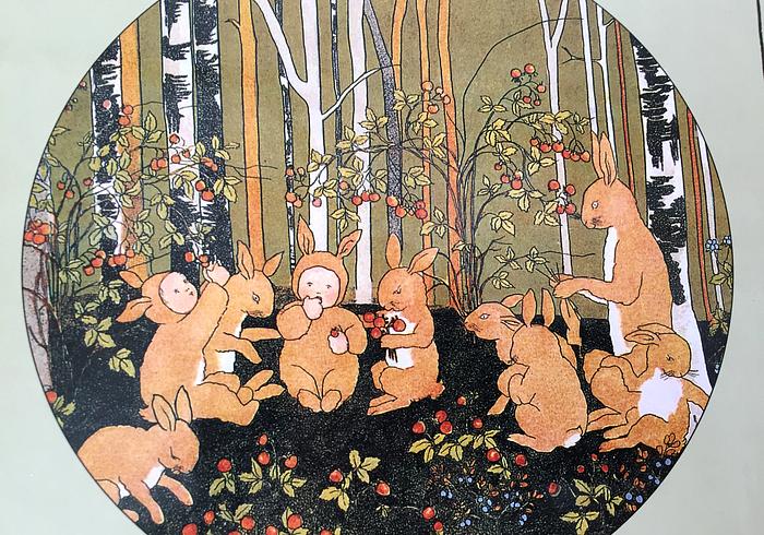 The Story of the Rabbit Children