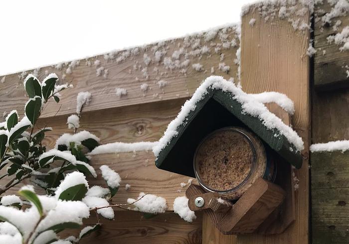 De tuin in januari