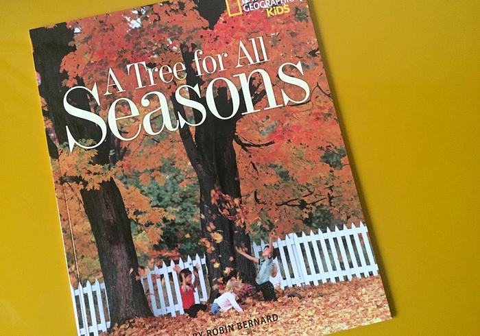 A tree for all seasons (Een boom voor elk seizoen)