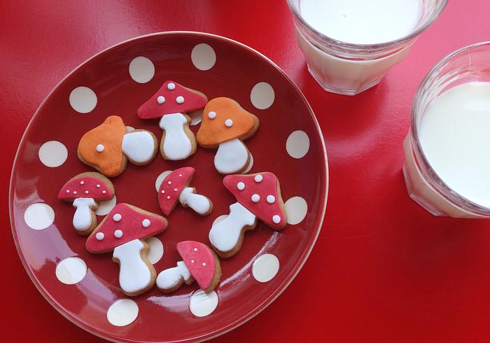 Onze allerliefste koekjes van het jaar