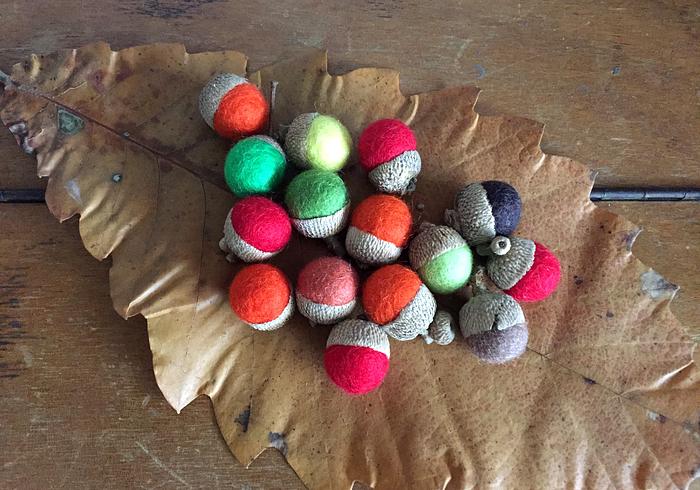 Herfst-eikeltjes
