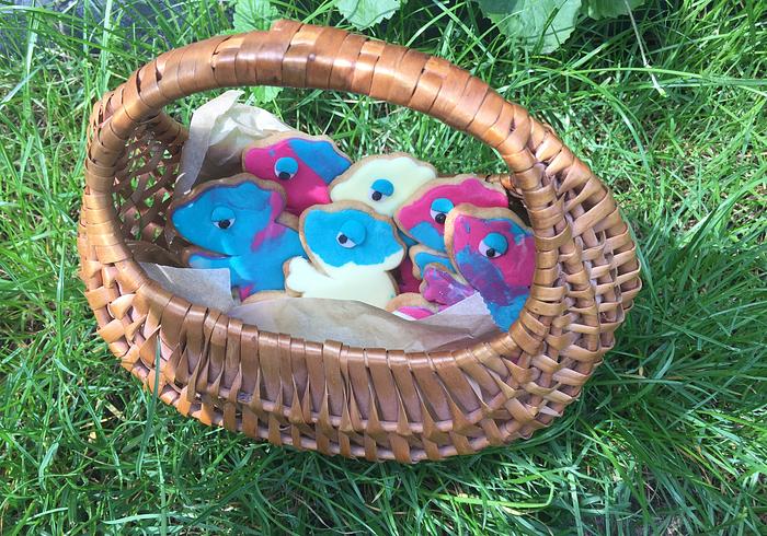 We nemen ook koekjes mee