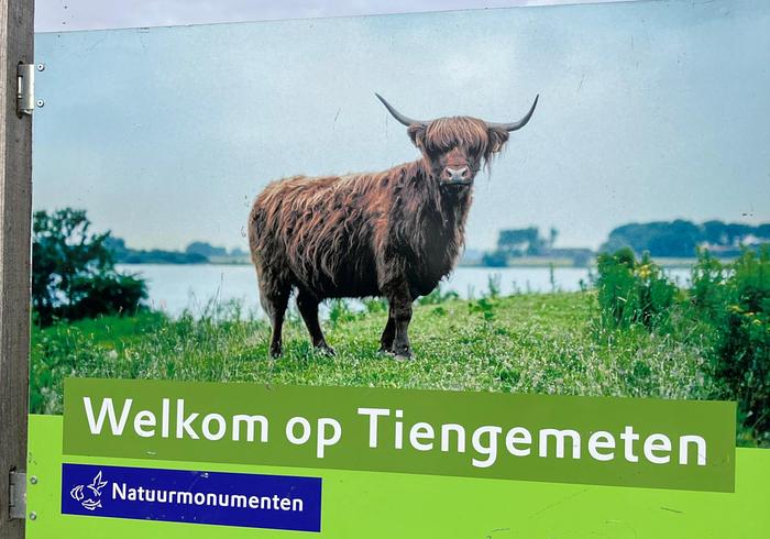 Today we go to Tiengemeente