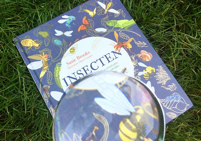 Insectenrijk