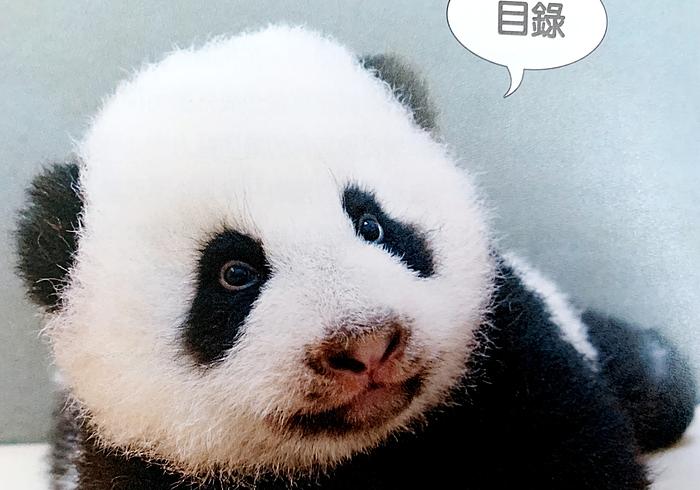 Hoera! Yuan Zai is jarig