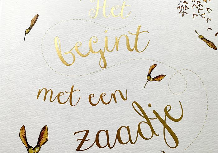 Het begint met een zaadje