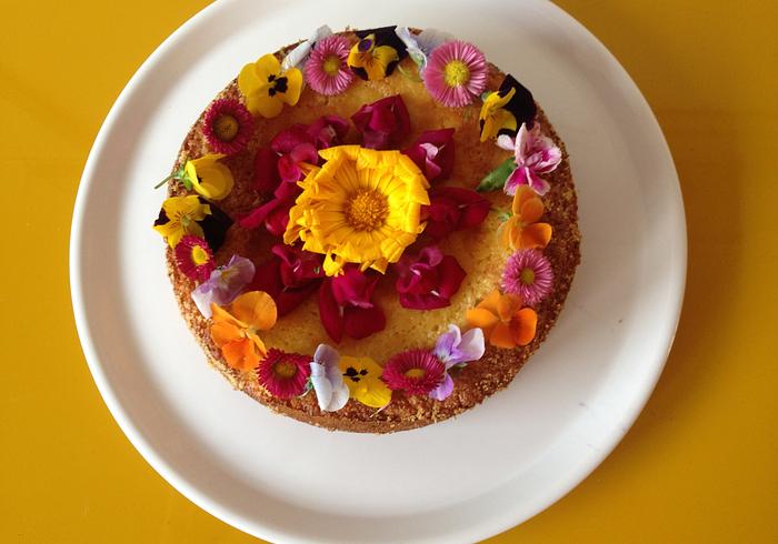 Ricotta pudding-cake