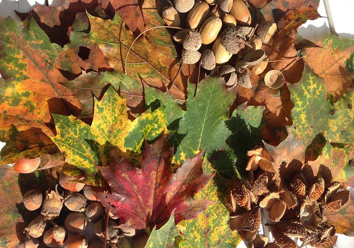 Het is herfstvakantie!