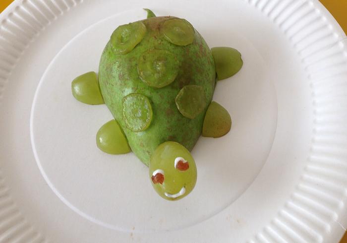 Een schildpad