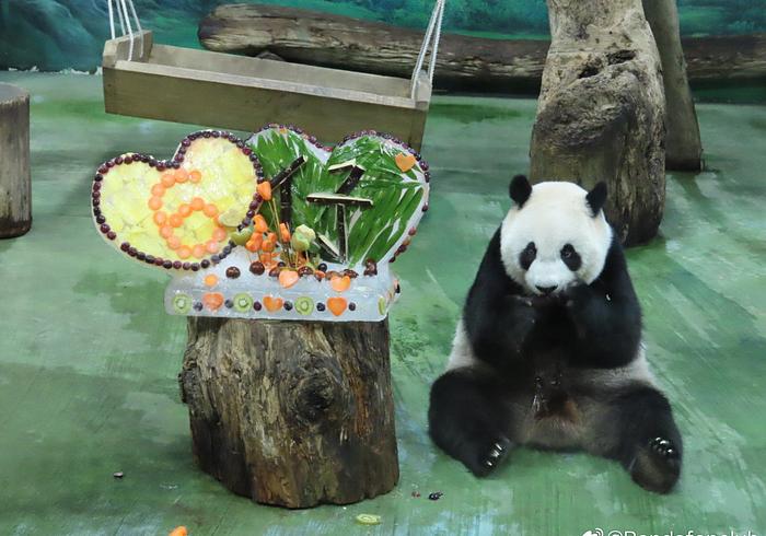 Vandaag is Yuan Zai 6 jaar