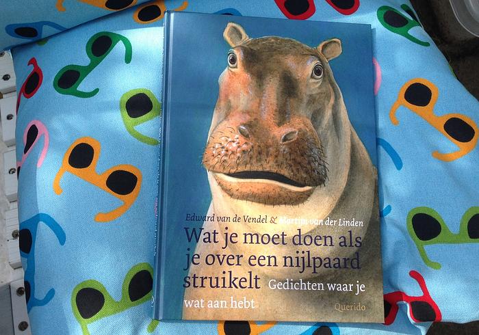 Gedichten waar je wat aan hebt