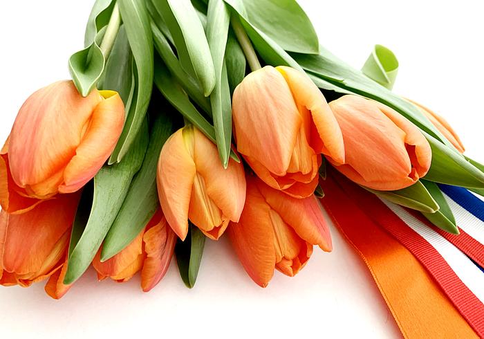 Fijne koningsdag
