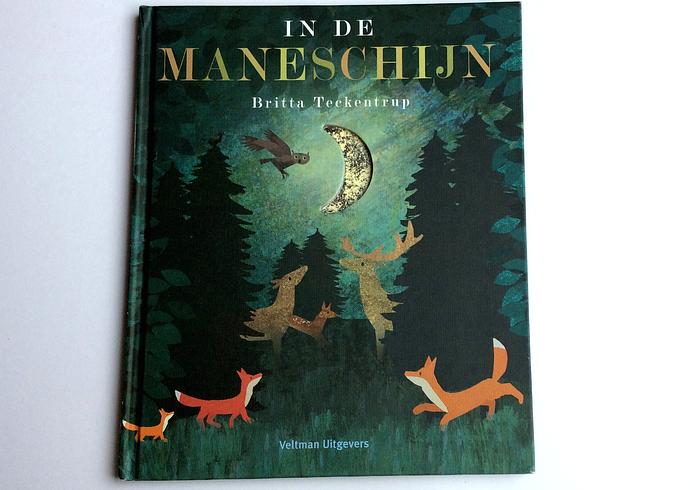 In de maneschijn