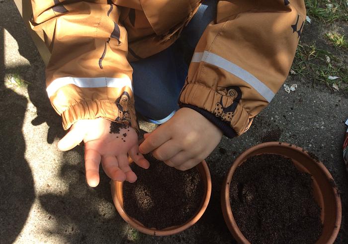 Onze moestuin