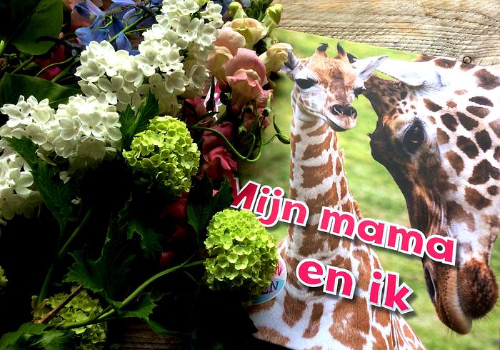 Mijn mama en ik