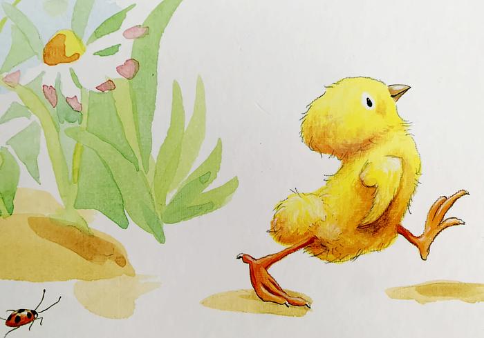 Kuikentje kip, 3 verhaaltjes voor kleintjes