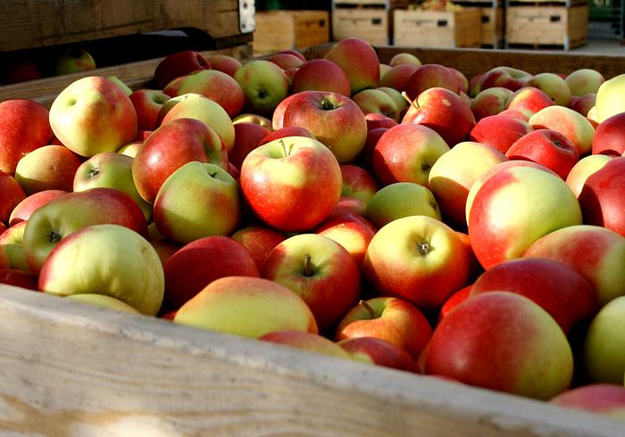 Herfstvakantie! Wat gaan we doen? 