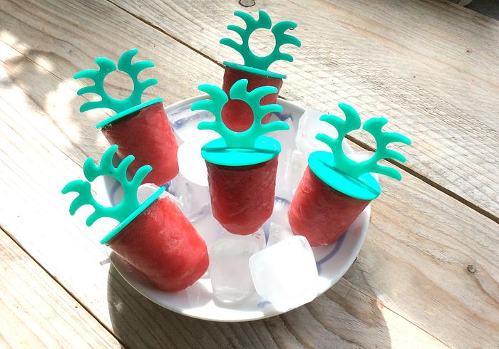 Fruitige mini freezies