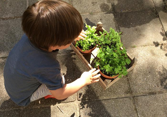 Onze moestuin