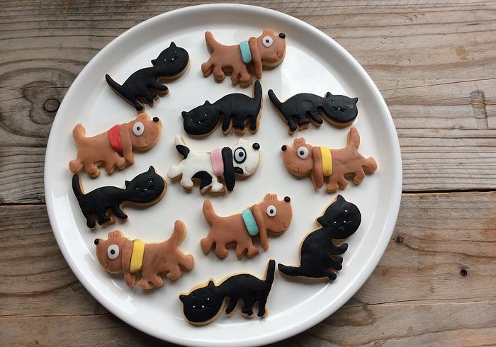 Bak Fiep koekjes!